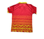 🏏 Zimbabwe Cricket 2023 ODI World Cup Shirt – Premium Replica Jersey | UK stock - Image 2