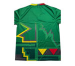 South Africa T20 World Cup 2021 Cricket Jersey – Premium Fabric Replic - Image 2