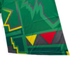 South Africa T20 World Cup 2021 Cricket Jersey – Premium Fabric Replic - Image 7
